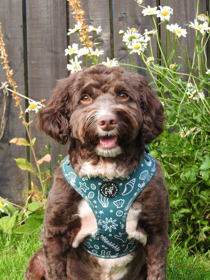Coastal Verde (Green) Adjustable Harness