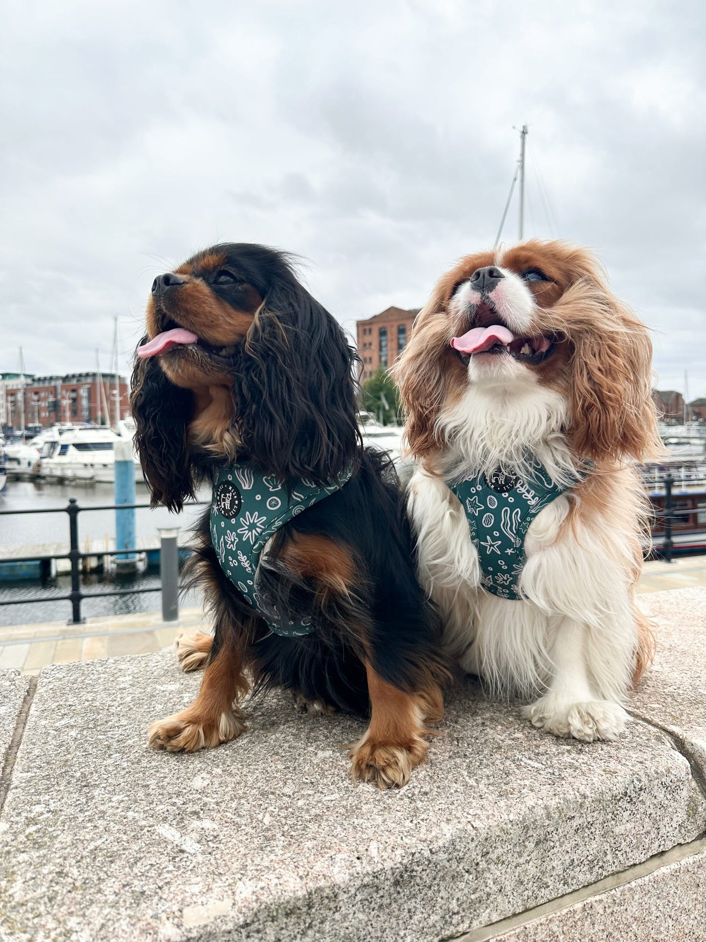 Coastal Verde (Green) Adjustable Harness