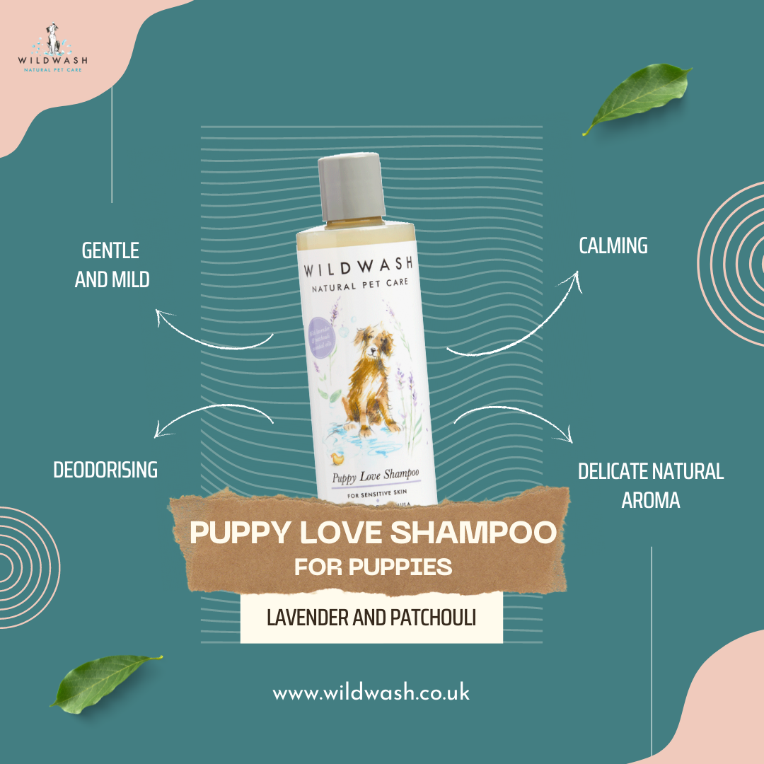 Wildwash Puppy Love Shampoo My Store