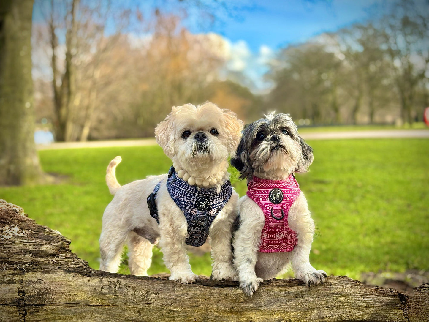 Aztec Rosa (Pink) Adjustable Harness