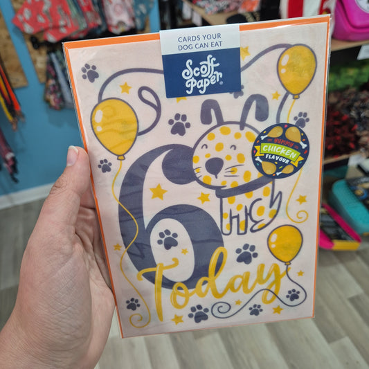 Scoff Edible Dog Card - Happy 6th Birthday Lili + Mila's Empawrium