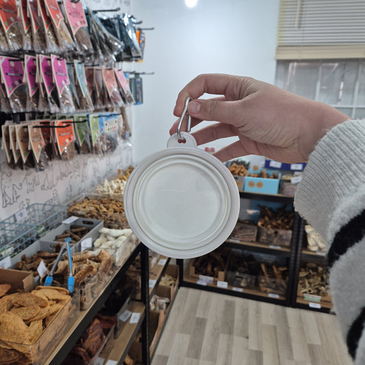 Collapsible water bowl - White