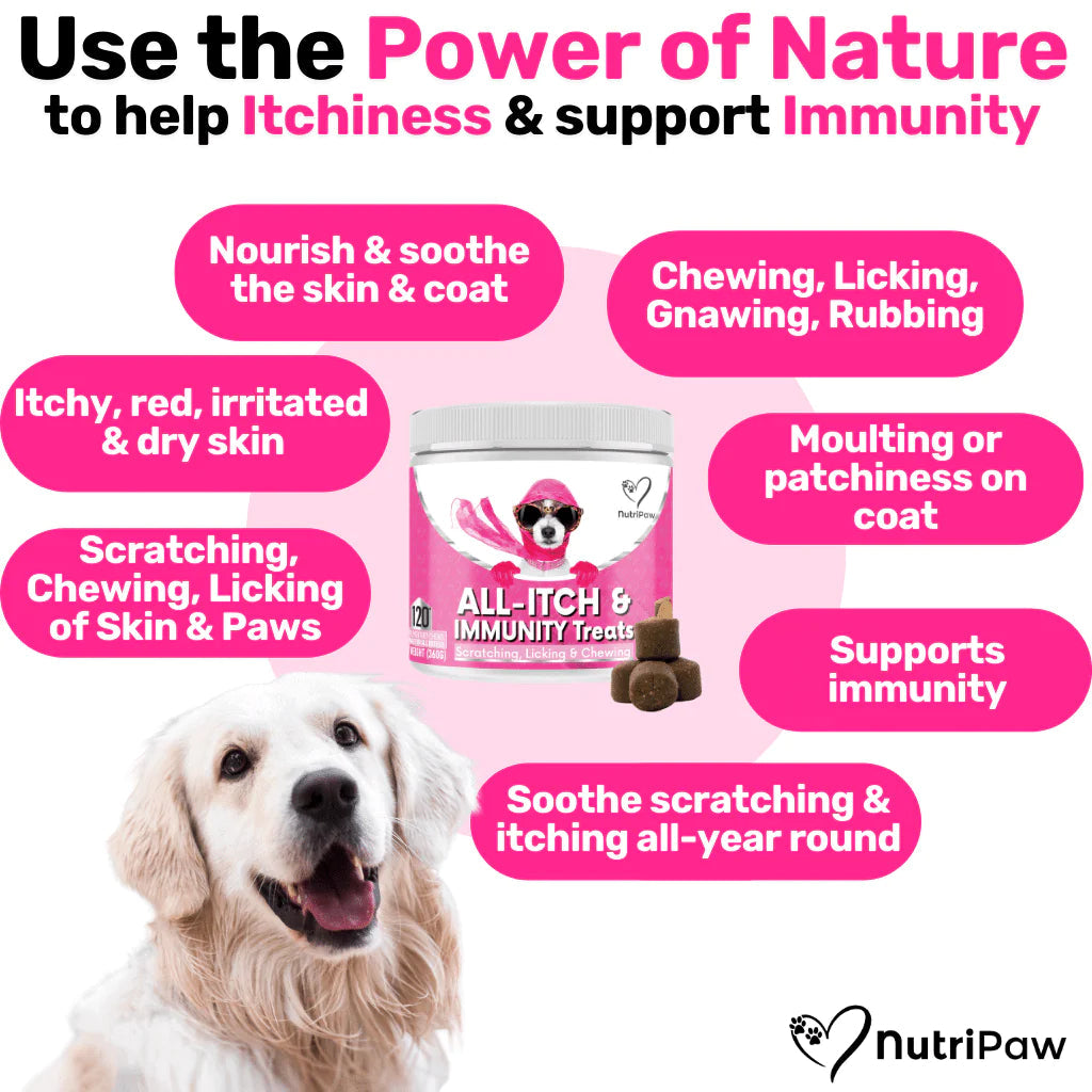 Nutripaw Anti Itch Lili + Mila's Empawrium