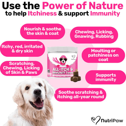 Nutripaw Anti Itch Lili + Mila's Empawrium