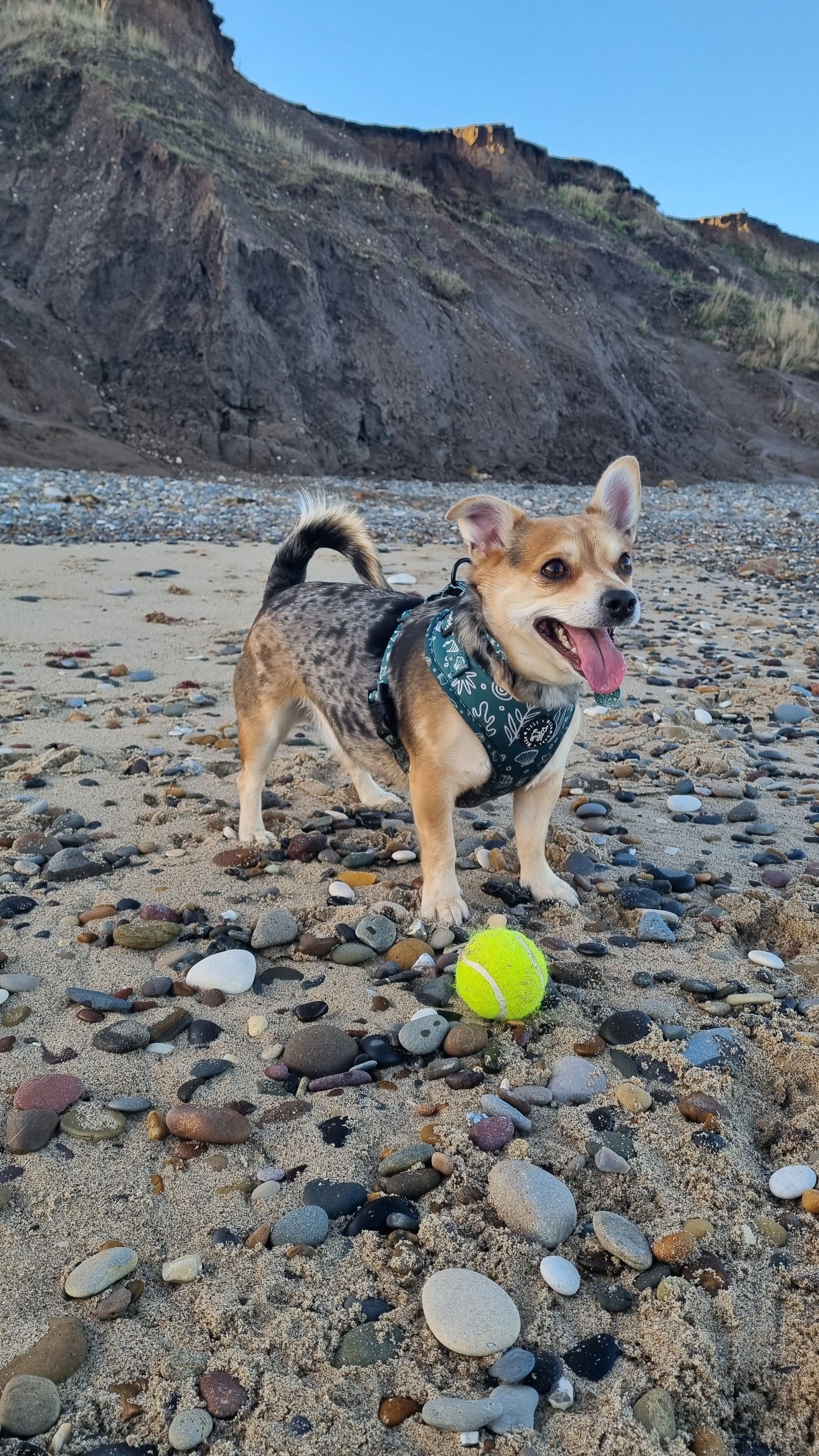 Coastal Verde (Green) Adjustable Harness