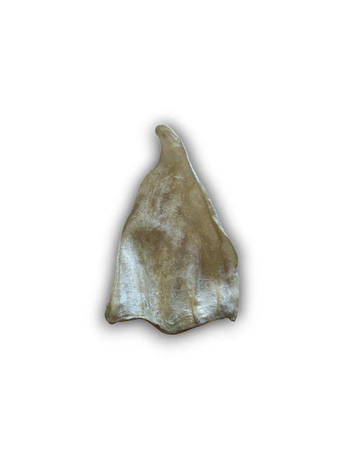 Cow Ear My Store