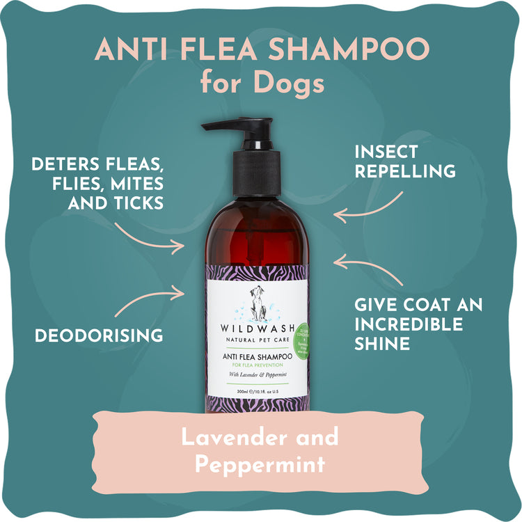 Anti Flea Wildwash Shampoo