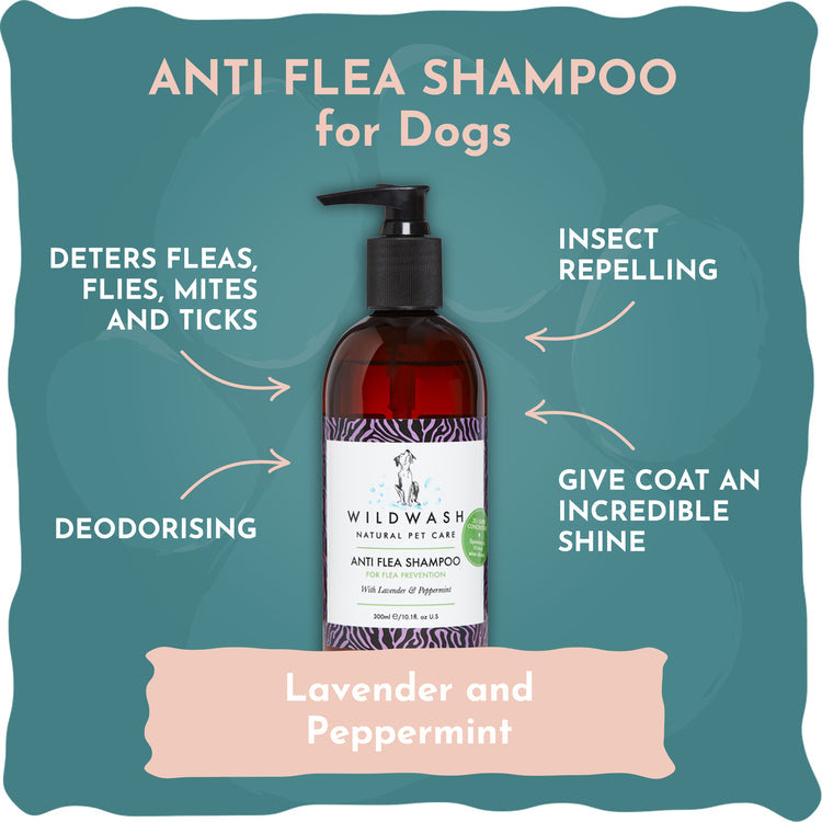 Anti Flea Wildwash Shampoo My Store