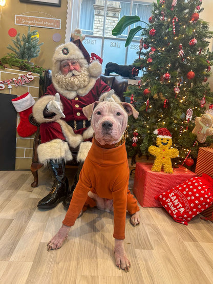 Meet Santa Paws (+ Gift) at Lili  & Mila's Empawrium