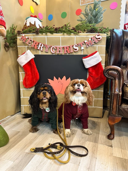 Meet Santa Paws (+ Gift) at Lili  & Mila's Empawrium