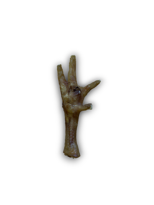 Chicken Foot My Store