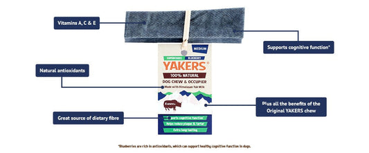 Yakers Medium Chew (Blueberry) Lili + Mila's Empawrium