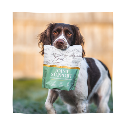 Eden Joint Support (250g) My Store