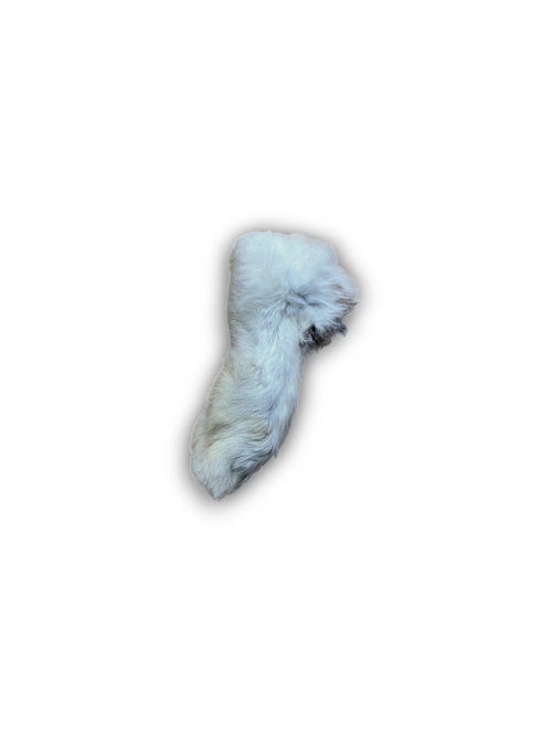 Rabbit Foot Lili + Mila's Empawrium