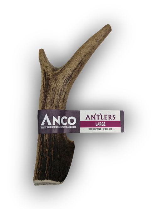 Anco Antler (Large)