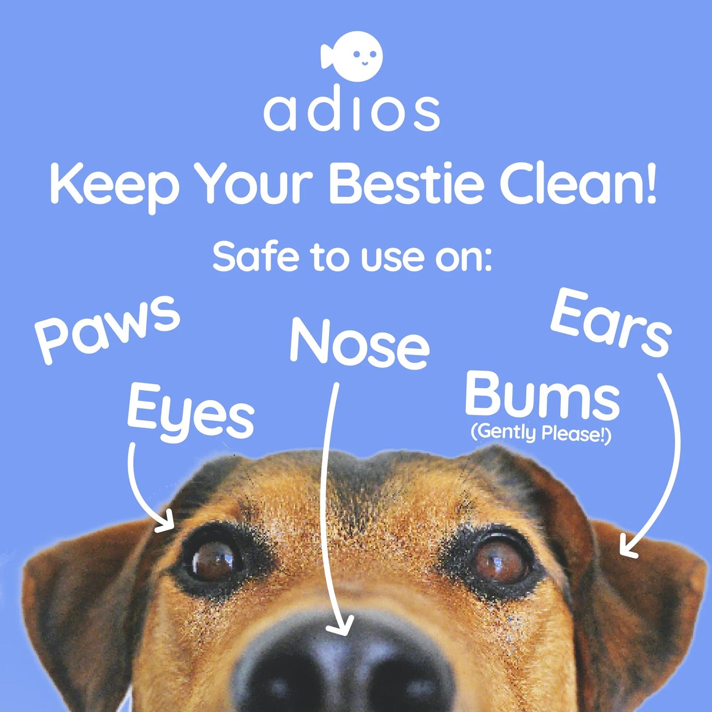 Adios Compostable Pet Wipes (25 wipes) My Store