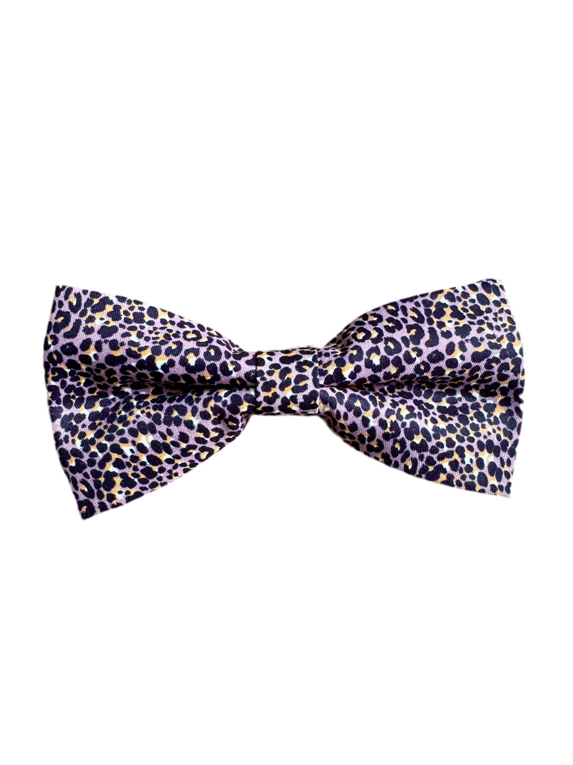 Leopard Dog Bow My Store