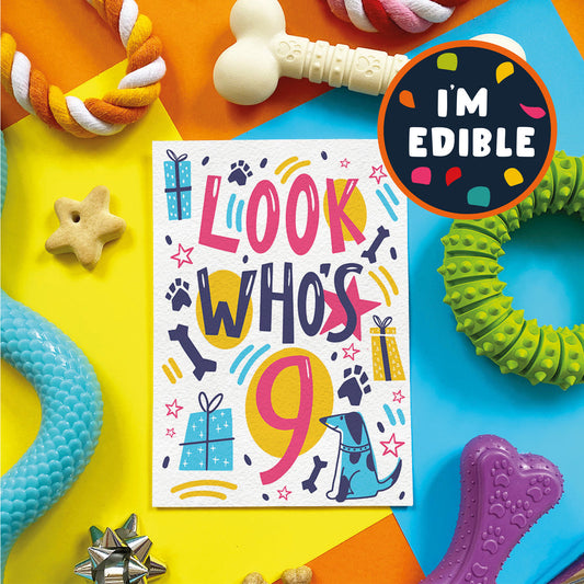Scoff Edible Dog Card - Look Who's 9 My Store