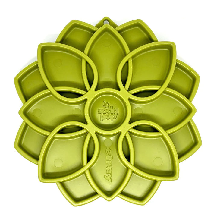 Green Mandala Sodapup Mat My Store