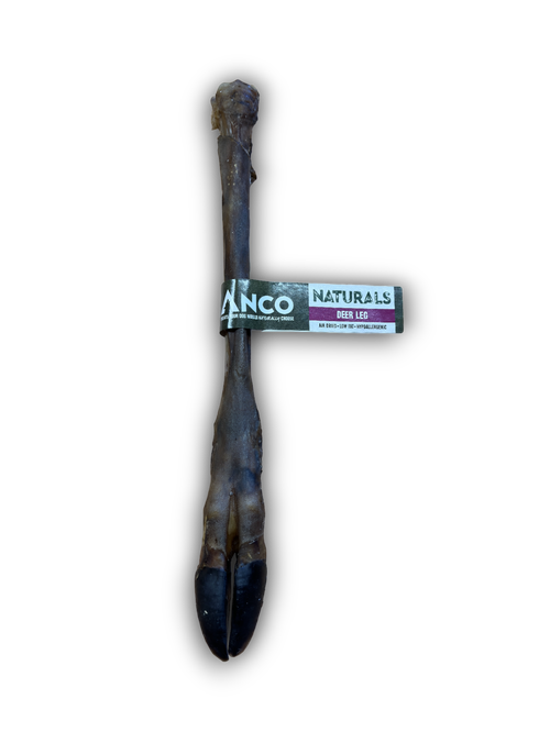 Deer Leg Lili + Mila's Empawrium