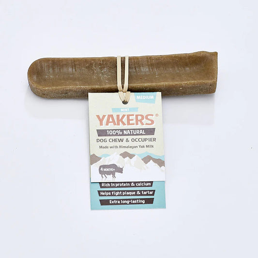Yakers Medium Chew (Mint) Lili + Mila's Empawrium