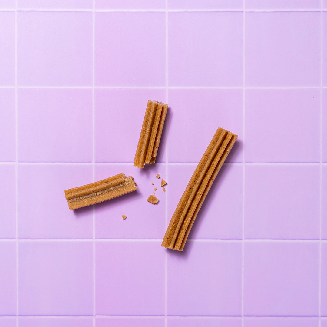 Two dental sticks on a purple tiled background