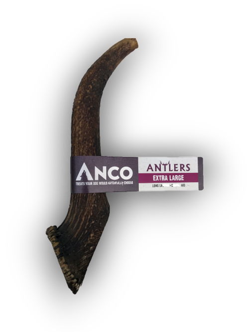 Anco Antler (Extra Large)