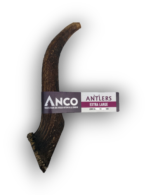 Antler (Extra Large) Lili + Mila's Empawrium
