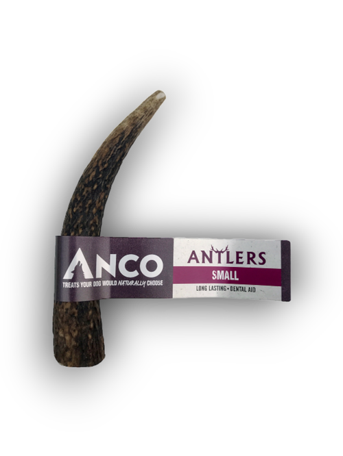 Anco Antler (Small)