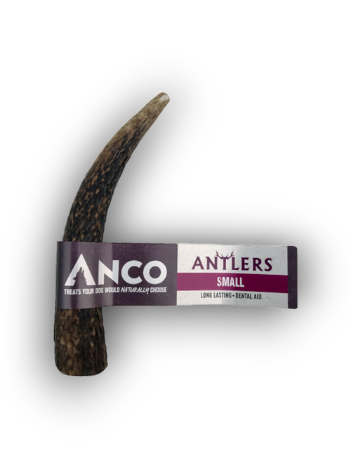 Antler (Small) Lili + Mila's Empawrium