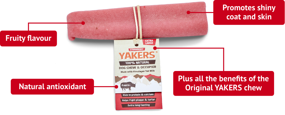 Yakers XL Chew (Strawberry) Lili + Mila's Empawrium