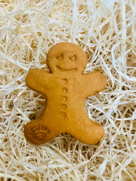Gingerbread Man (Biscuit)
