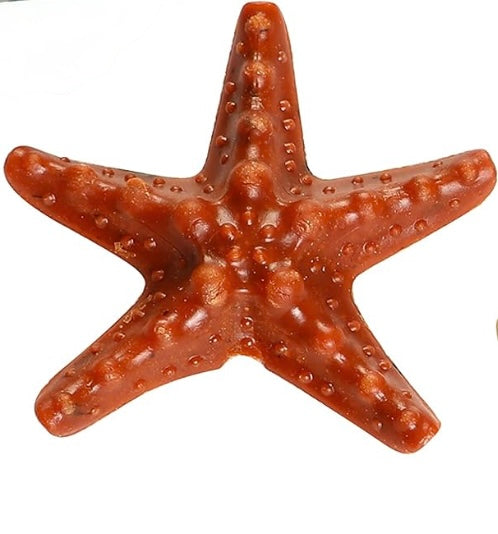 Starfish Dog Chew