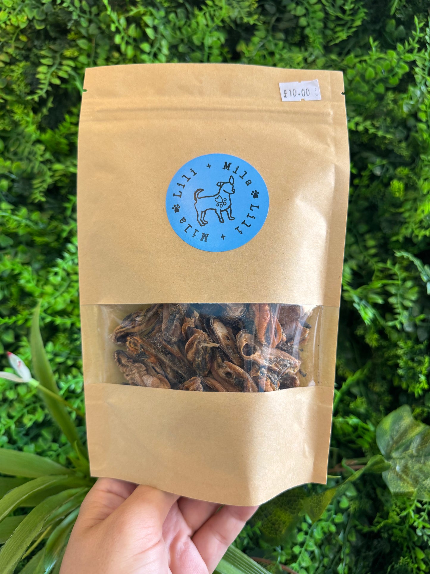Green Lipped Mussel (Air Dried) 80g Lili + Mila's Empawrium