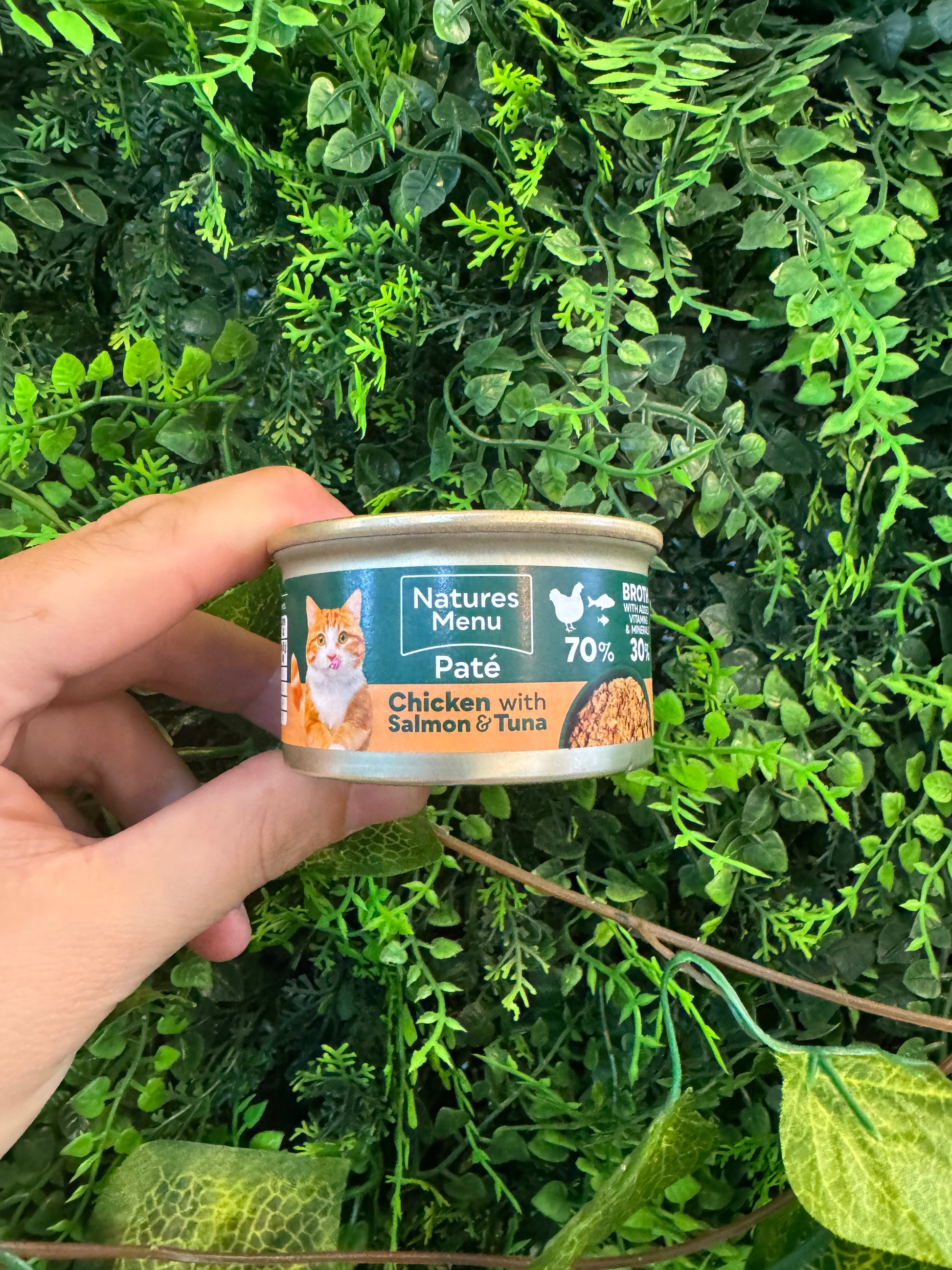 Natures Menu Chicken with Salmon & Tuna Paté for Cats (85g) Natures Menu