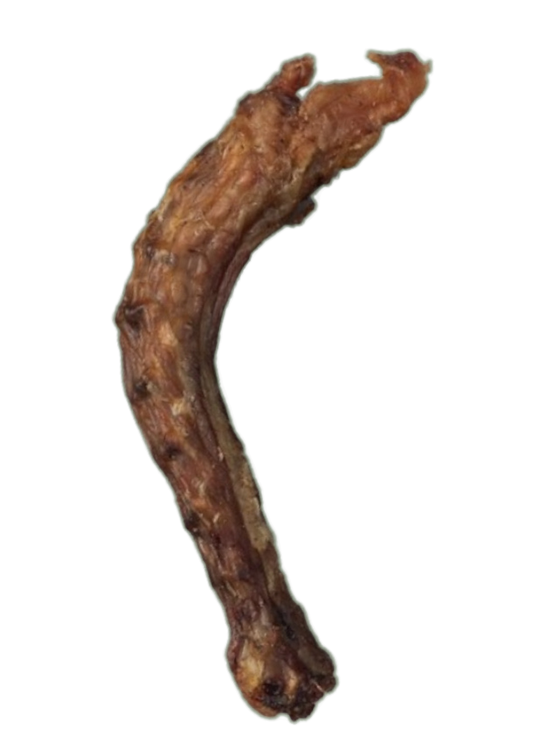 Chicken Neck Lili + Mila's Empawrium