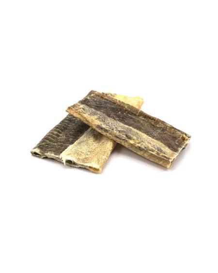 Skippers Fish Skin Flatties Short (70g) Lili + Mila's Empawrium