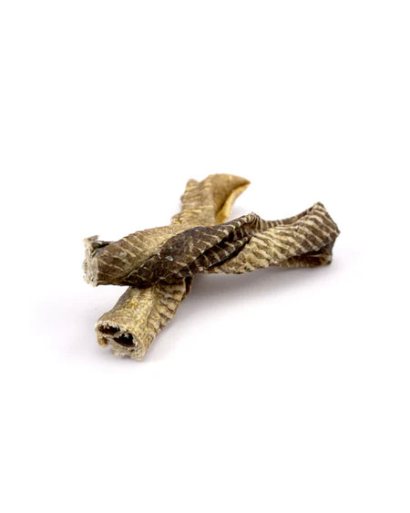 Skippers Fish Skin Twists Short (70g) Lili + Mila's Empawrium