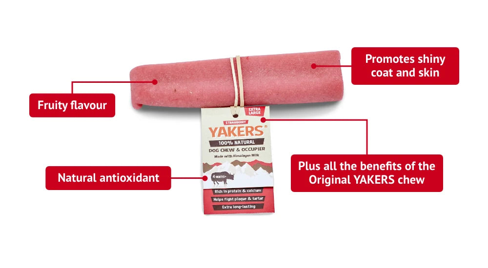 Yakers XL Chew (Strawberry)
