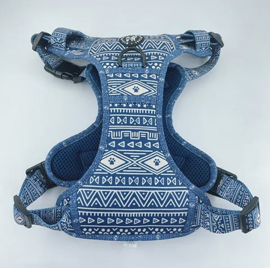 Aztec (Blue) Discovery Harness