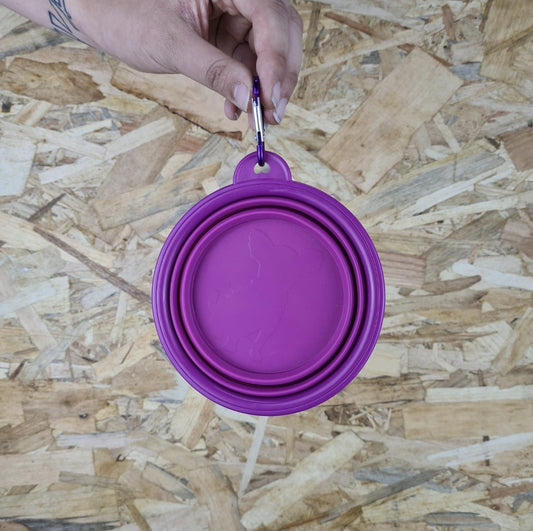 Collapsible water bowl - Purple