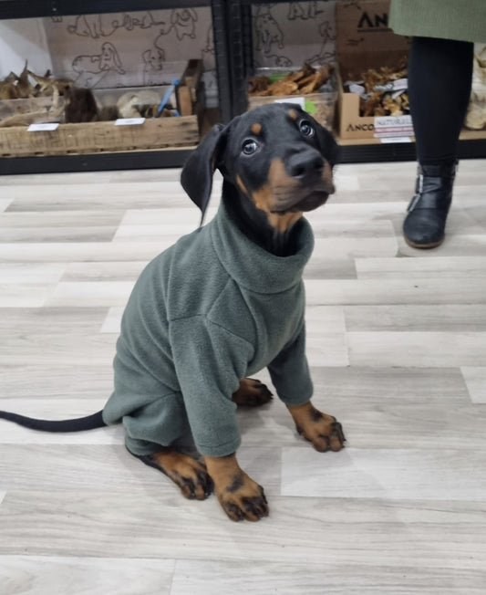 Green 4 Legged Fleece (Pawsome Suits)