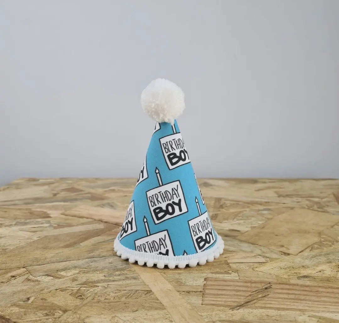Birthday (Boy) Party Hat Lili + Mila's Empawrium