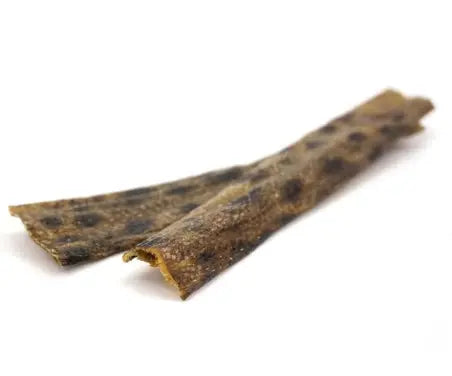 Wolf Fish Flatties (1 Piece) Skippers