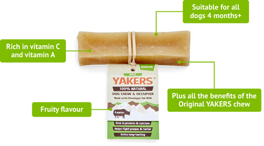 Yakers Medium Chew (Apple) Lili + Mila's Empawrium