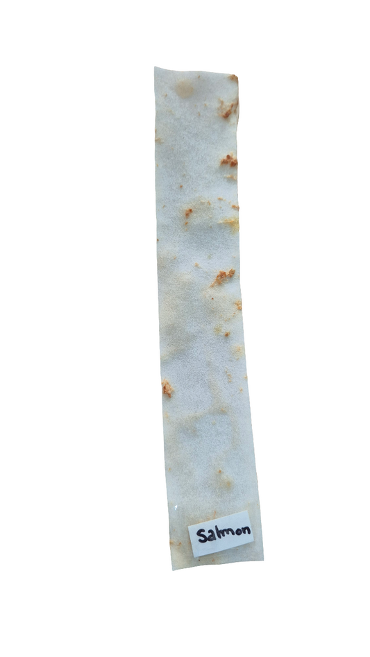 Earth Animal No Hide Salmon Strip Lili + Mila's Empawrium