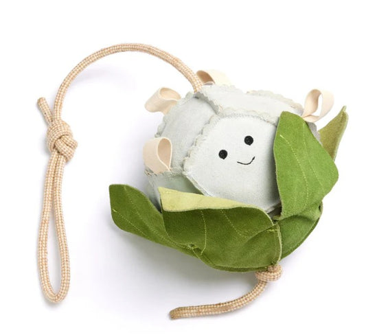 Calli the Cauli Eco Toy