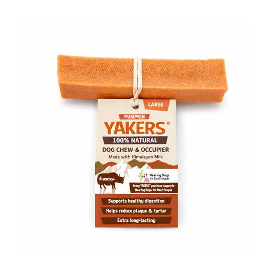 Yakers XL Chew (Pumpkin)