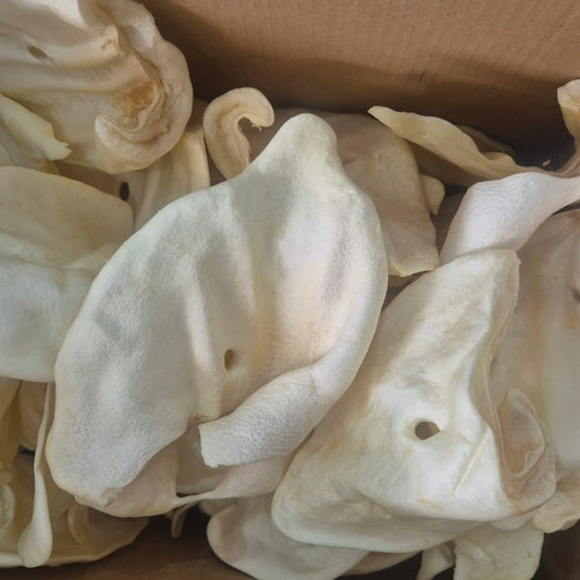Puffed Pig Ear Lili + Mila's Empawrium
