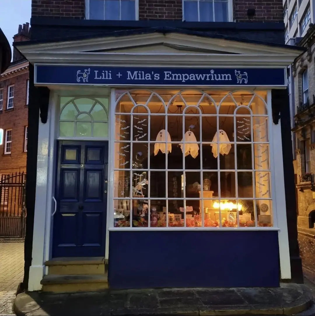 Pup-kin Carving - Howloween Workshop! Event